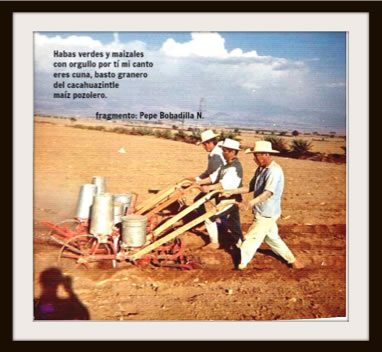 Historia del Maiz Pozolero